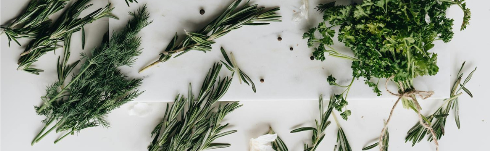 Top 5 Adaptogenic Herbs to Combat Stress