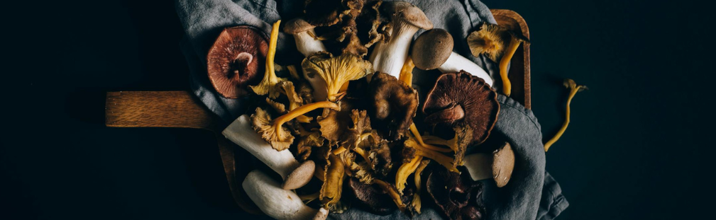 How to Incorporate Functional Mushrooms into Your Diet
