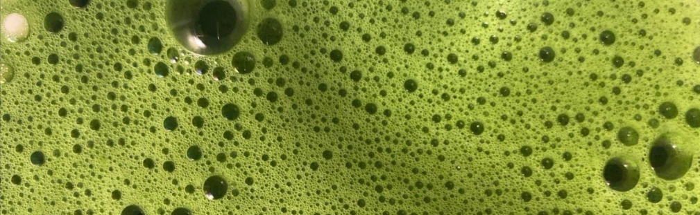 When Nothing Worked The Superblend That Finally Made Me Feel Like Me Again