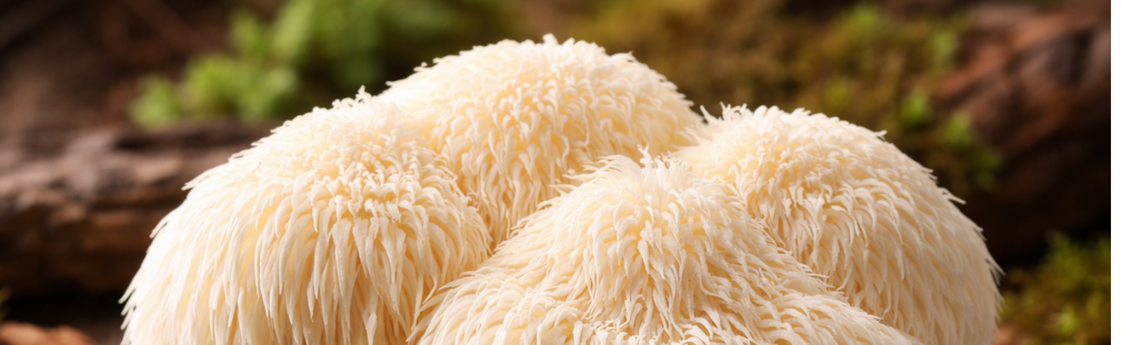 This Liquid Mushroom Could Be the Brain Fuel You’ve Been Looking For