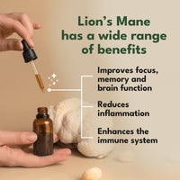 Lions Mane - Bioactive Liquid Extract